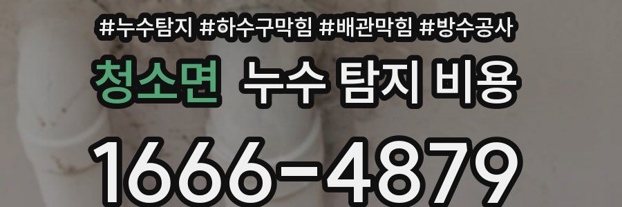 청소면 누수 탐지 비용