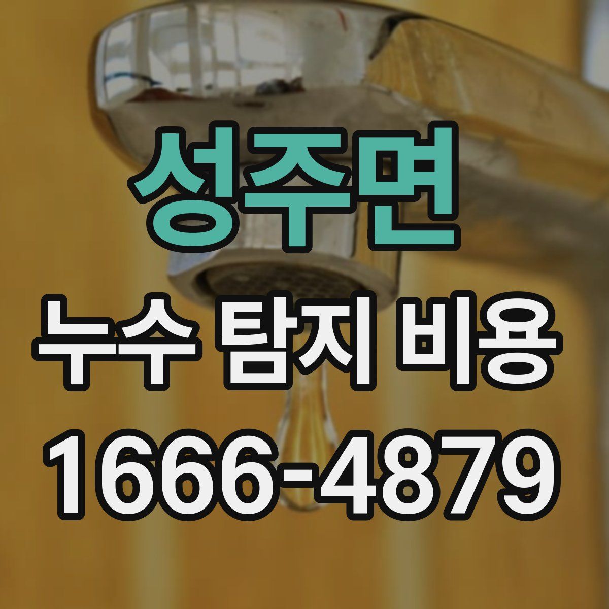 성주면 누수 탐지 비용