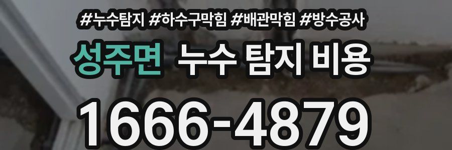 성주면 누수 탐지 비용
