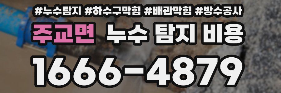 주교면 누수 탐지 비용