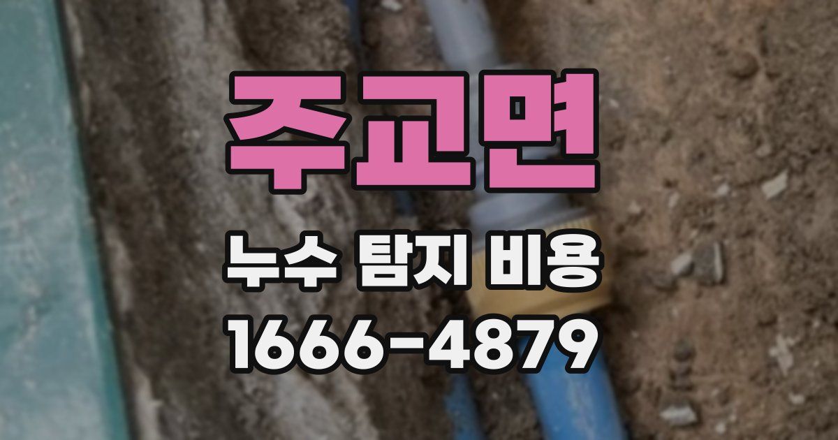 주교면 누수 탐지 비용
