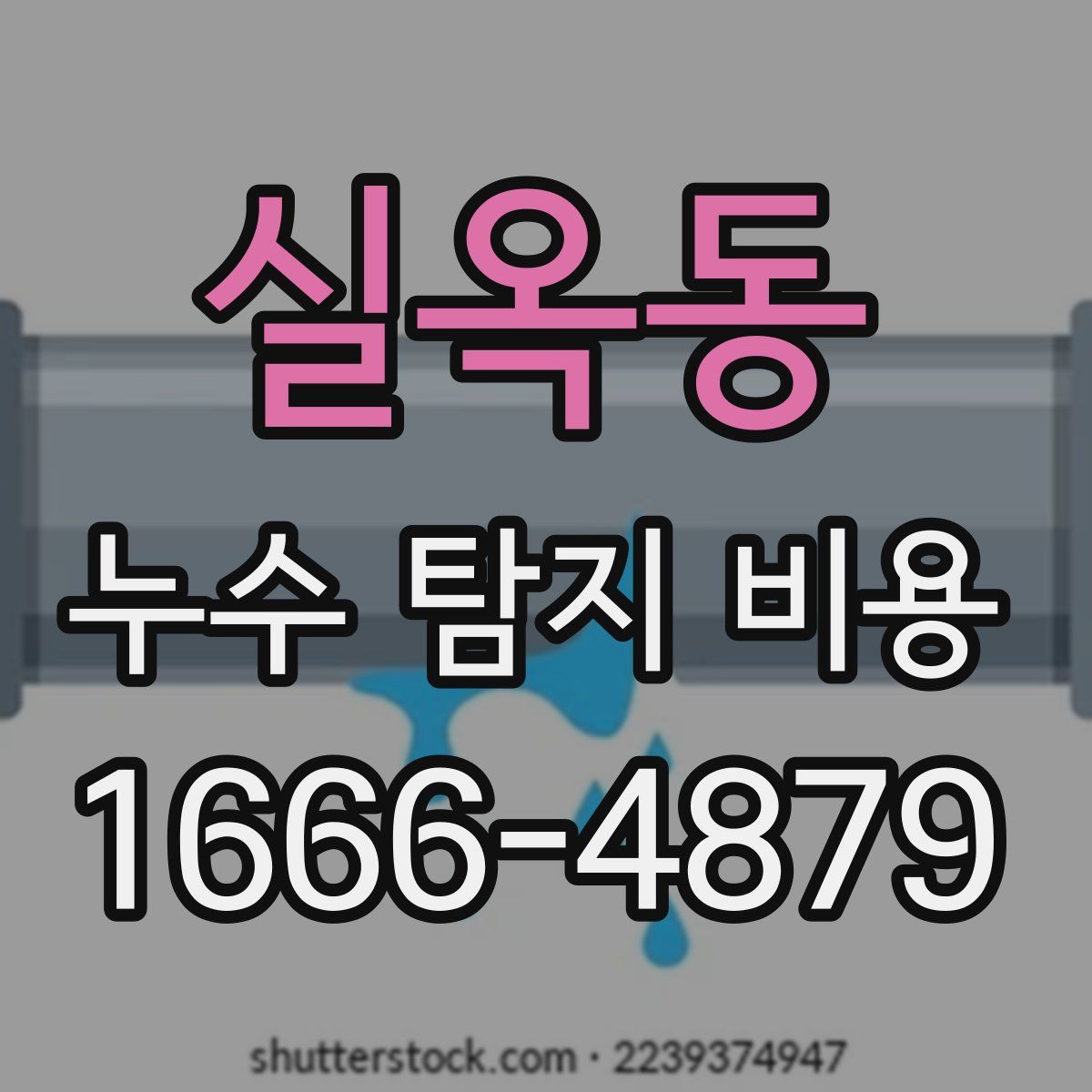 실옥동 누수 탐지 비용