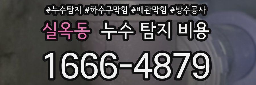 실옥동 누수 탐지 비용