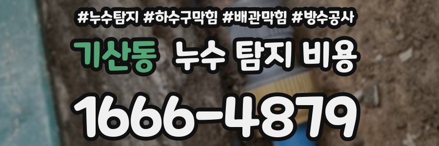 기산동 누수 탐지 비용