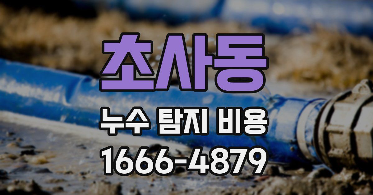 초사동 누수 탐지 비용