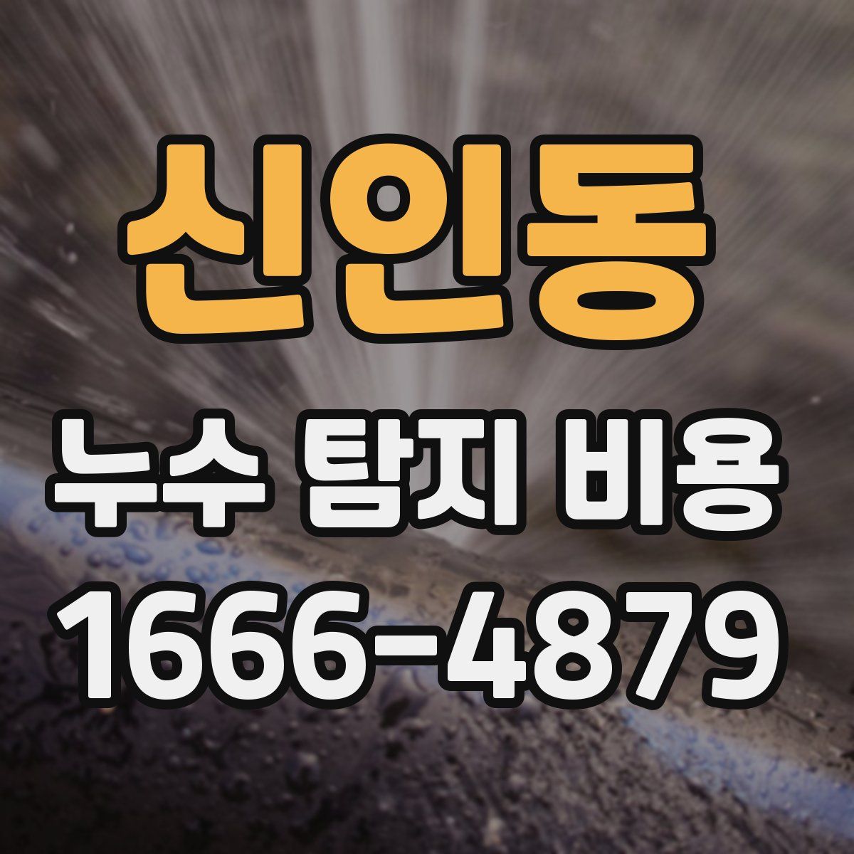 신인동 누수 탐지 비용