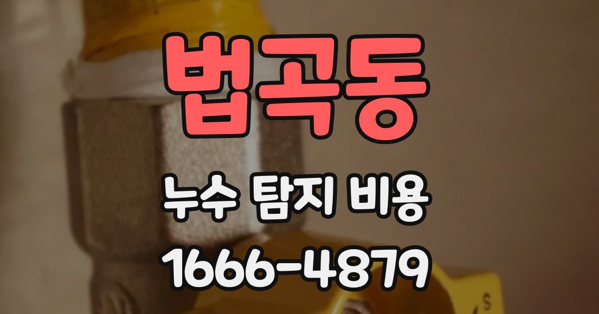 법곡동 누수 탐지 비용