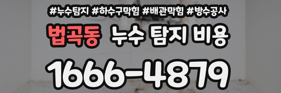 법곡동 누수 탐지 비용