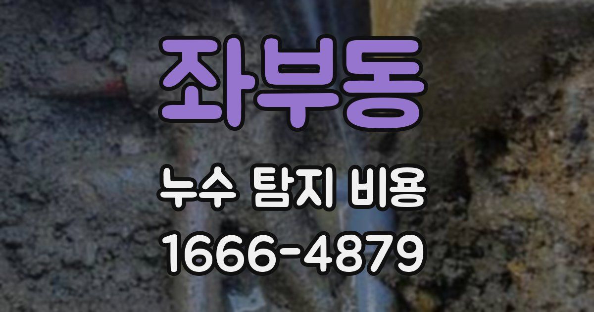 좌부동 누수 탐지 비용