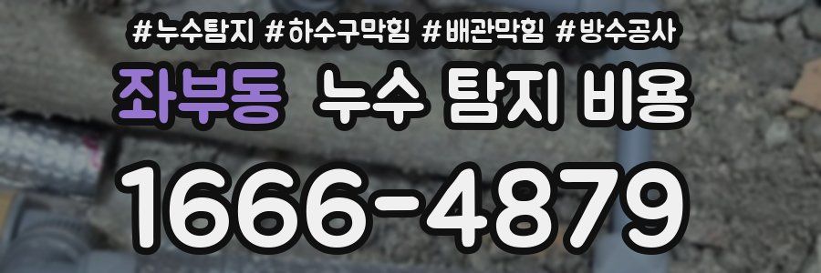 좌부동 누수 탐지 비용