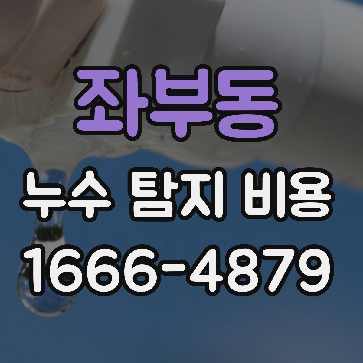 좌부동 누수 탐지 비용