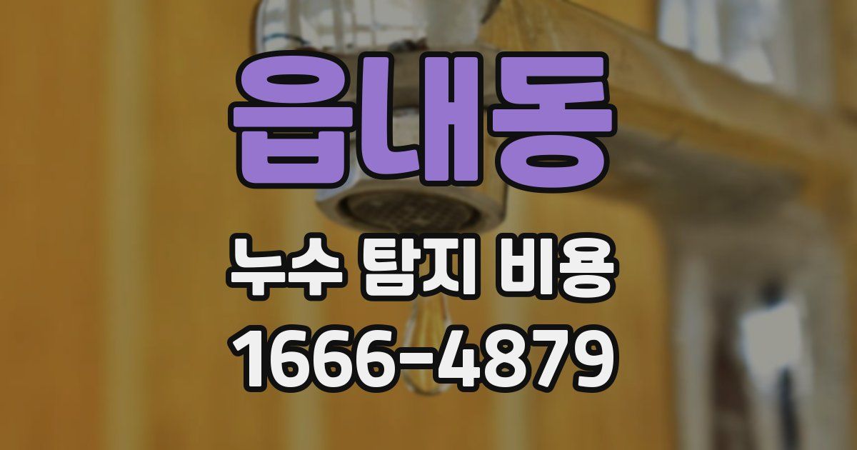 읍내동 누수 탐지 비용