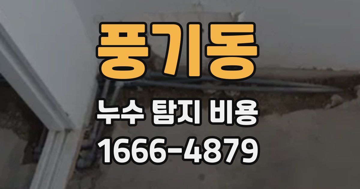 풍기동 누수 탐지 비용