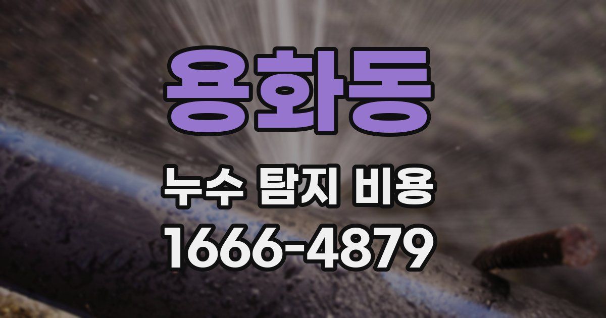 용화동 누수 탐지 비용
