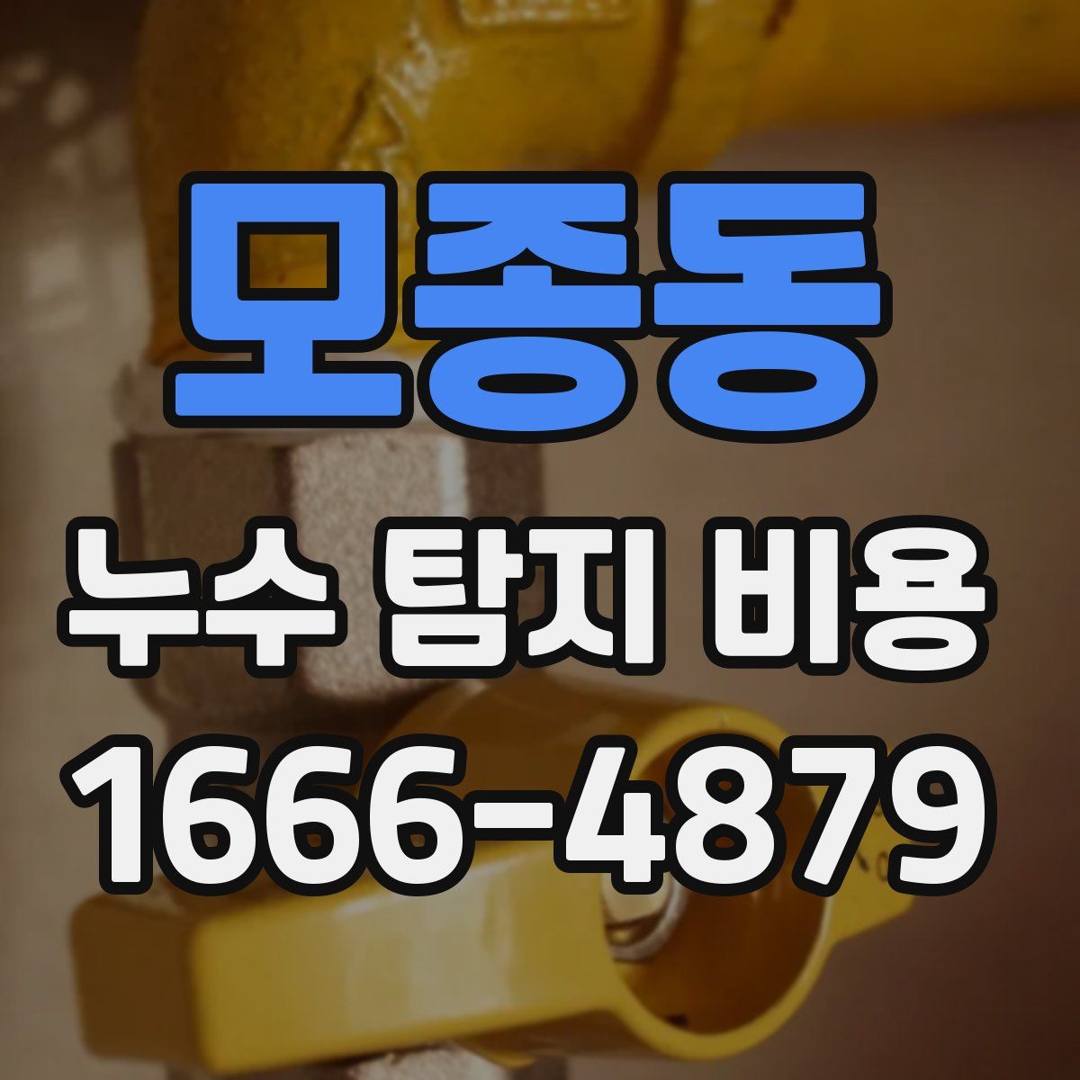 모종동 누수 탐지 비용