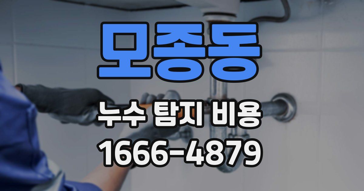 모종동 누수 탐지 비용