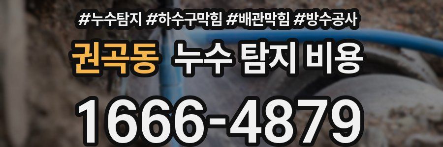 권곡동 누수 탐지 비용