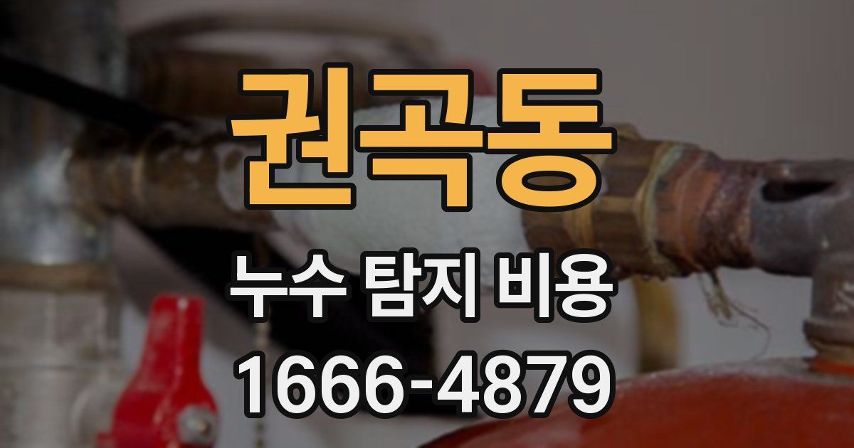권곡동 누수 탐지 비용