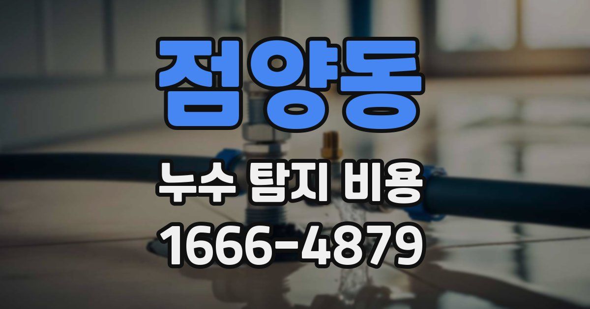 점양동 누수 탐지 비용