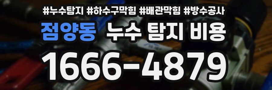 점양동 누수 탐지 비용