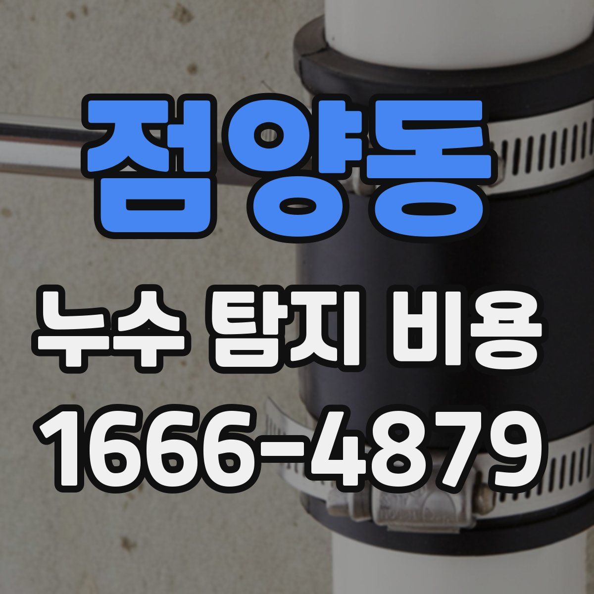 점양동 누수 탐지 비용