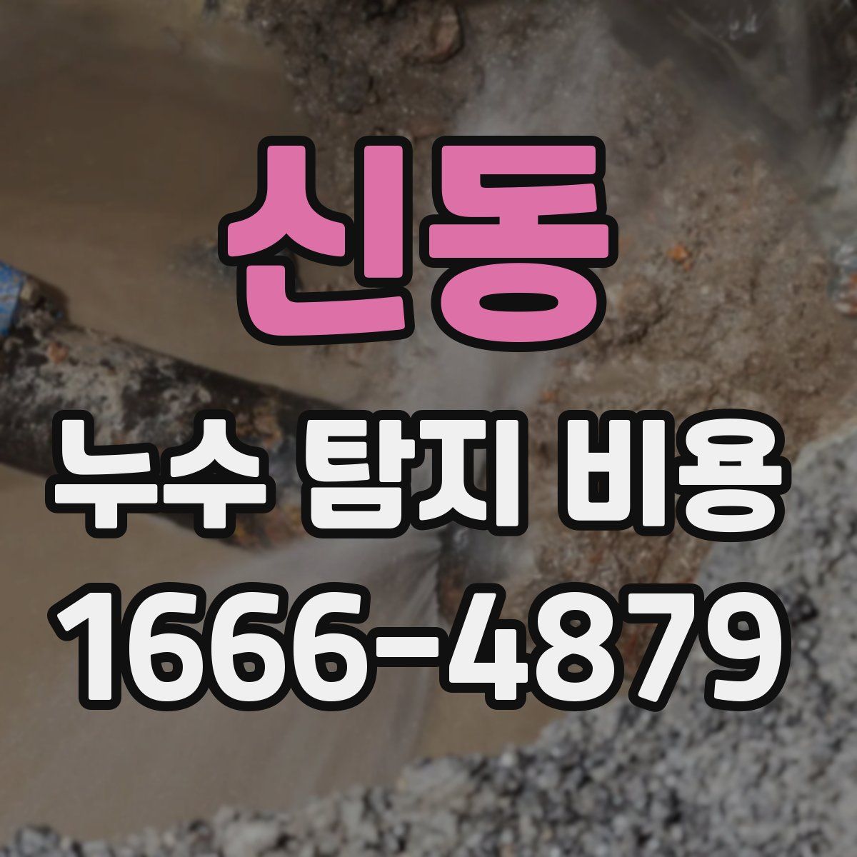 신동 누수 탐지 비용