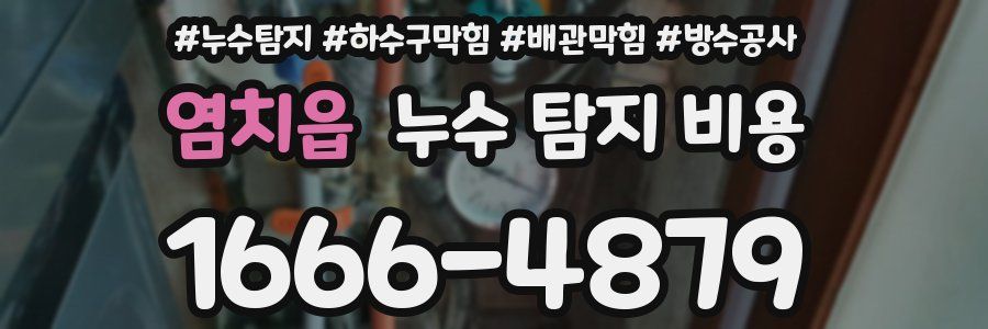 염치읍 누수 탐지 비용