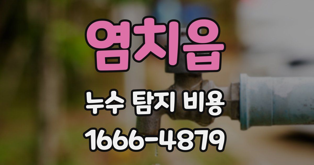 염치읍 누수 탐지 비용