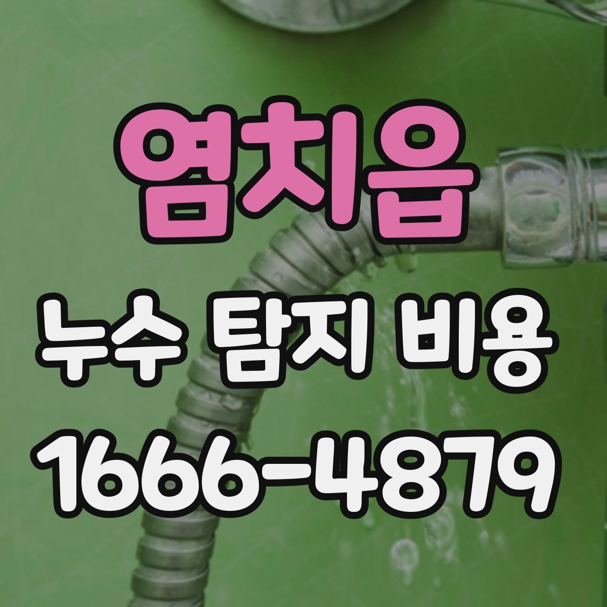 염치읍 누수 탐지 비용