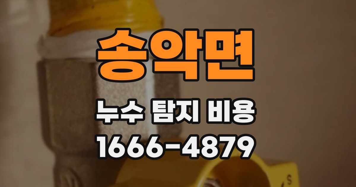 송악면 누수 탐지 비용