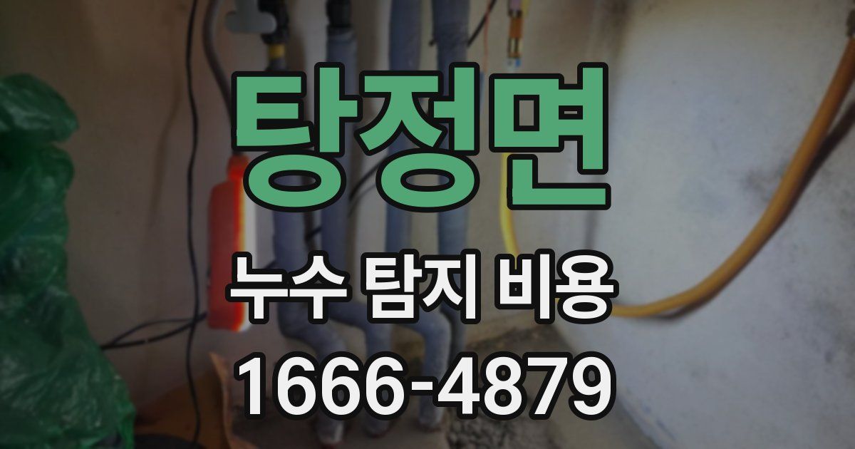 탕정면 누수 탐지 비용