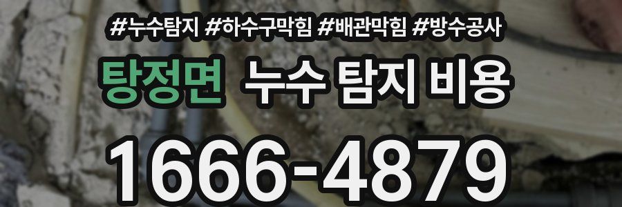 탕정면 누수 탐지 비용