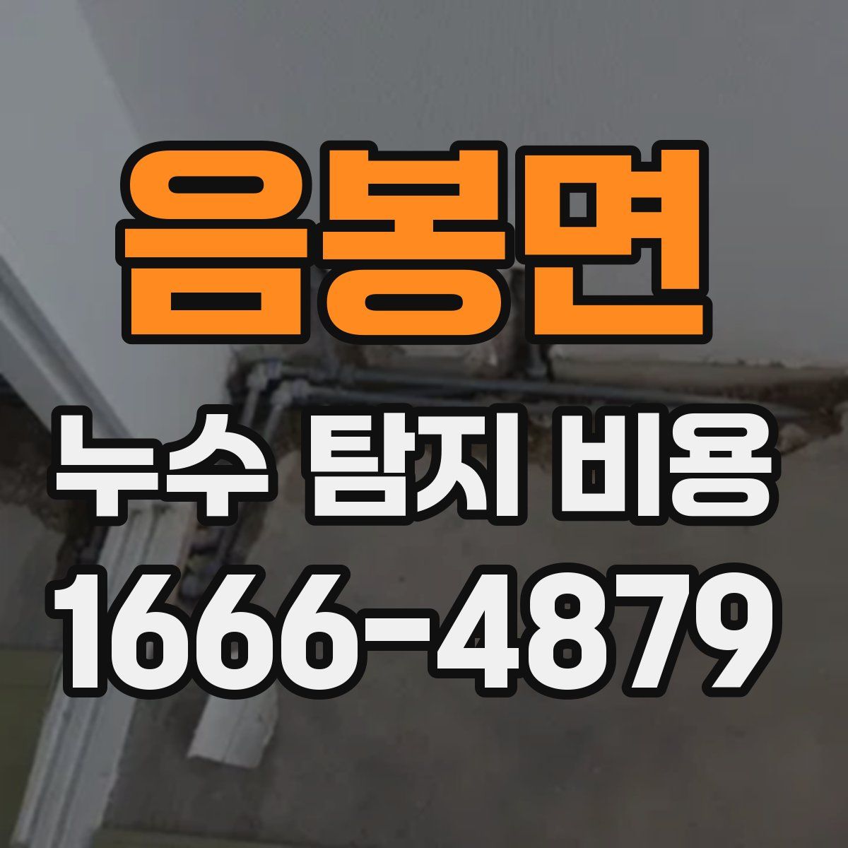 음봉면 누수 탐지 비용