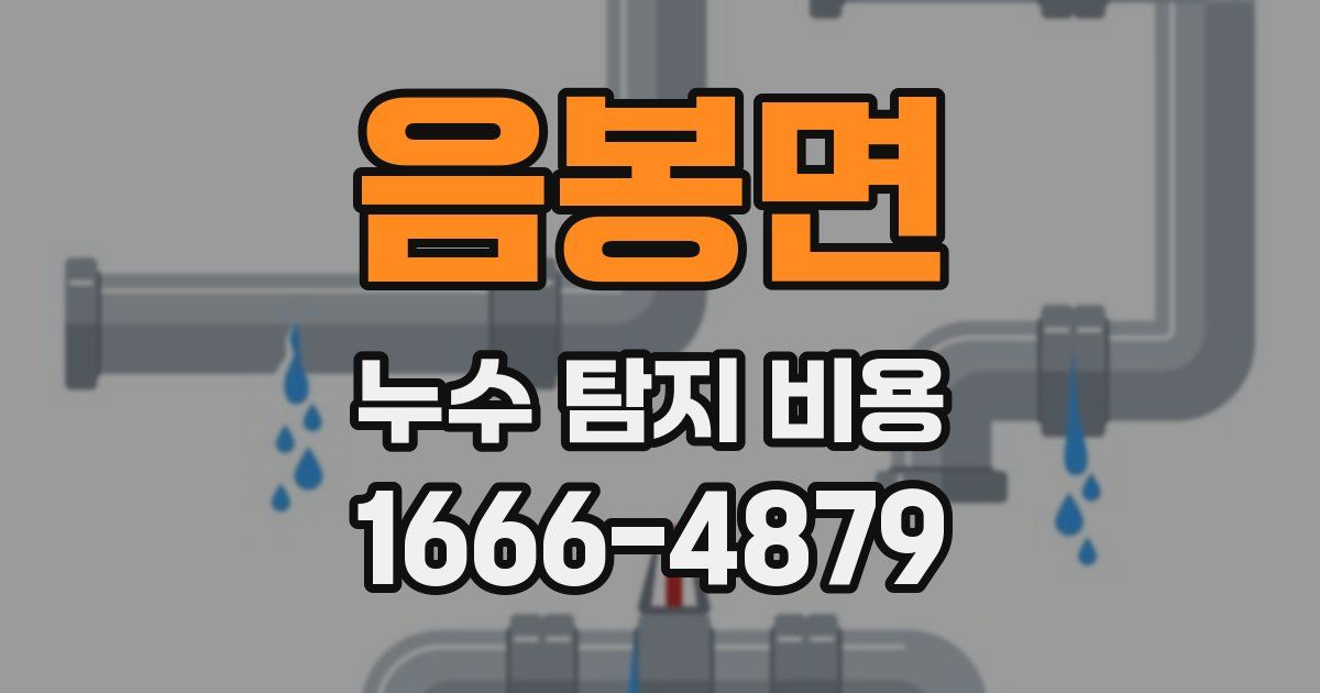 음봉면 누수 탐지 비용