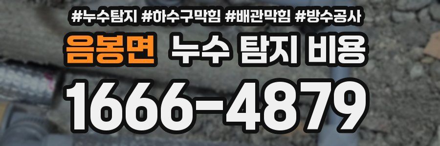 음봉면 누수 탐지 비용
