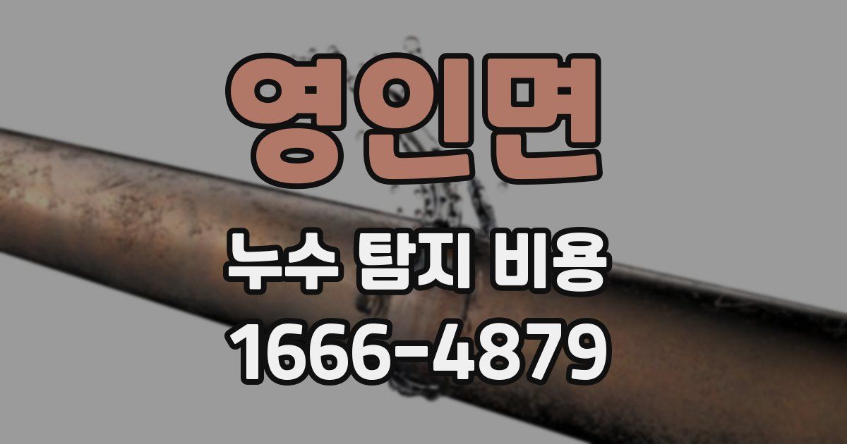 영인면 누수 탐지 비용