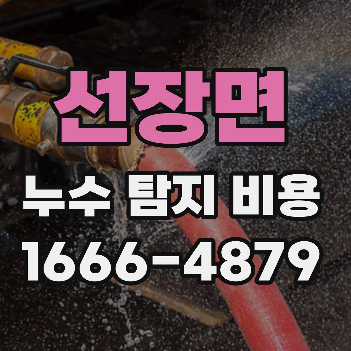 선장면 누수 탐지 비용