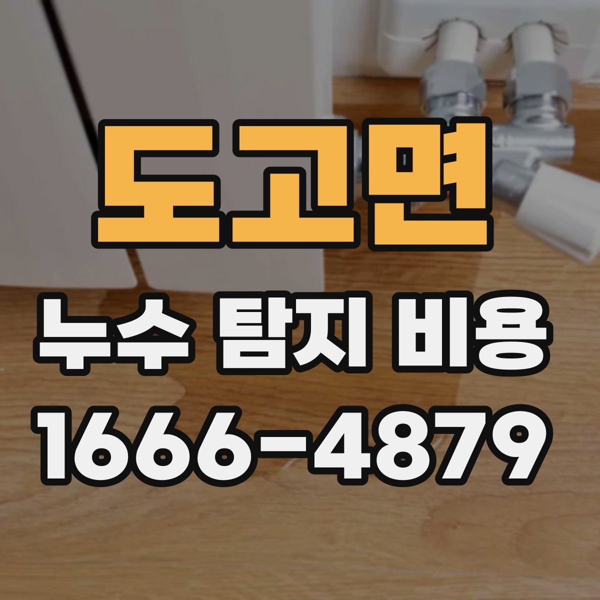 도고면 누수 탐지 비용