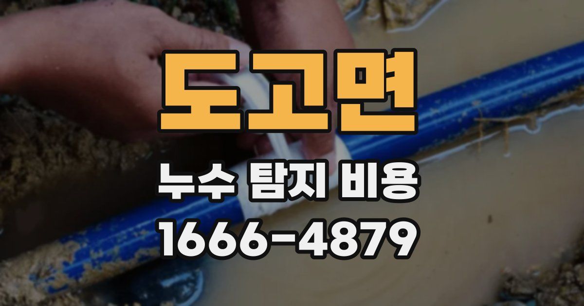 도고면 누수 탐지 비용