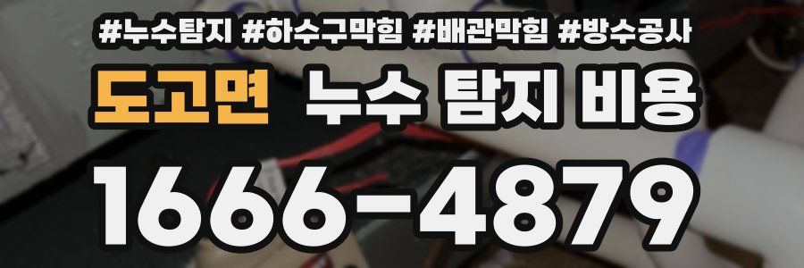 도고면 누수 탐지 비용