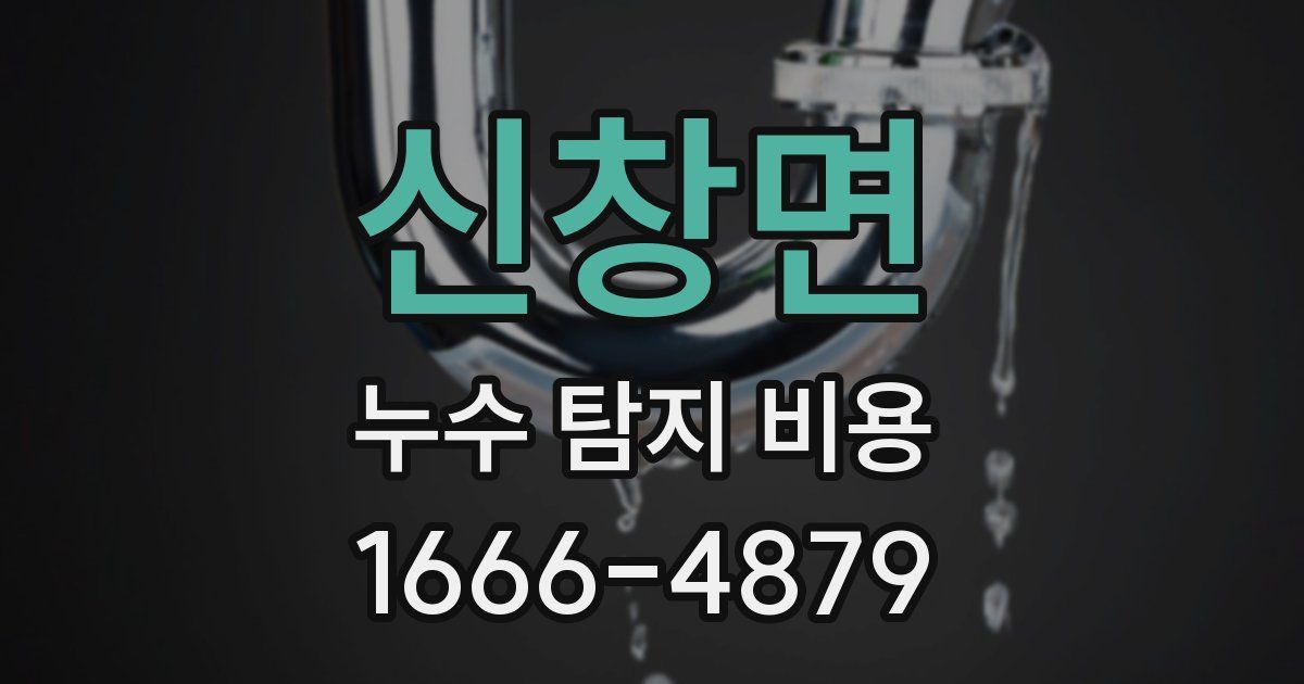 신창면 누수 탐지 비용
