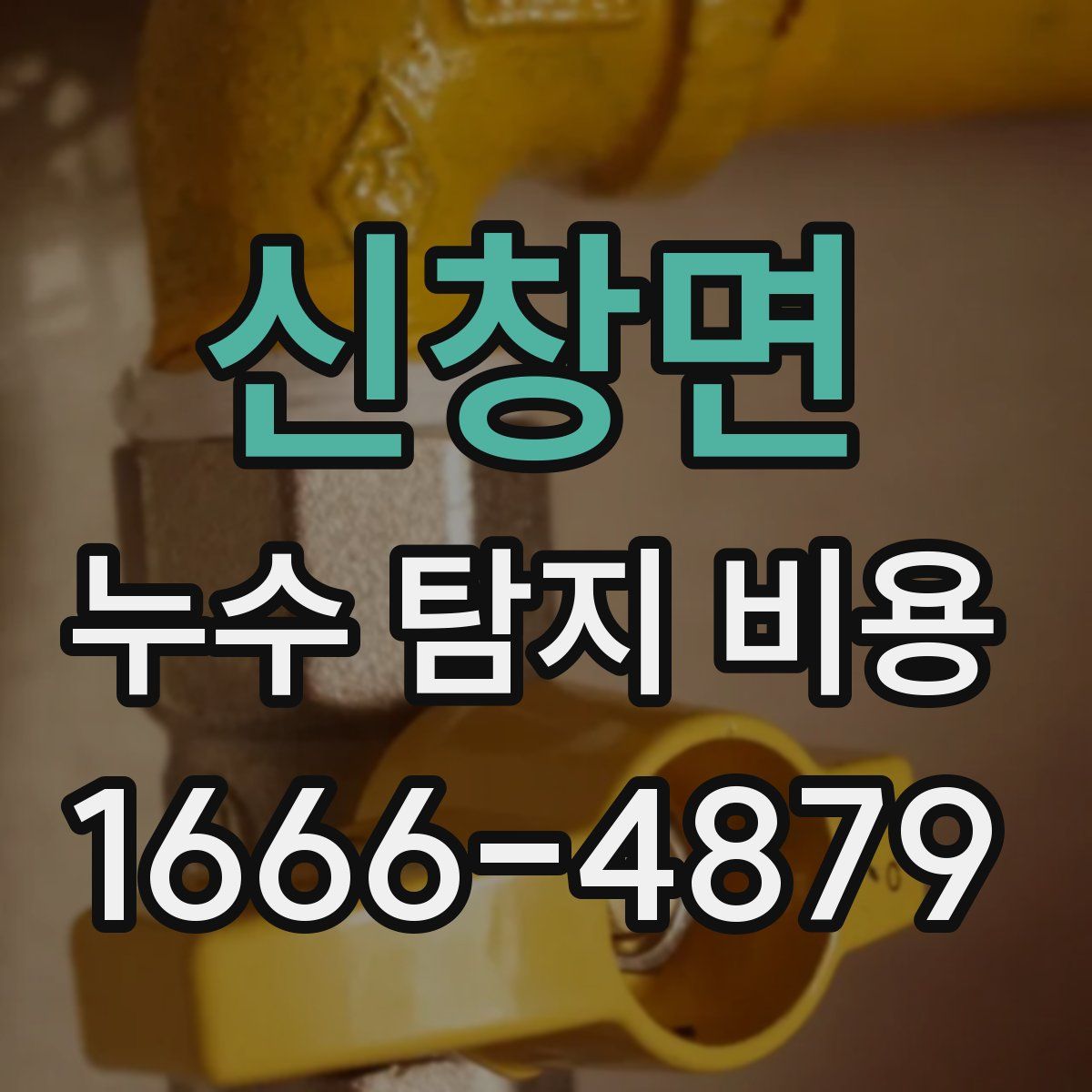 신창면 누수 탐지 비용
