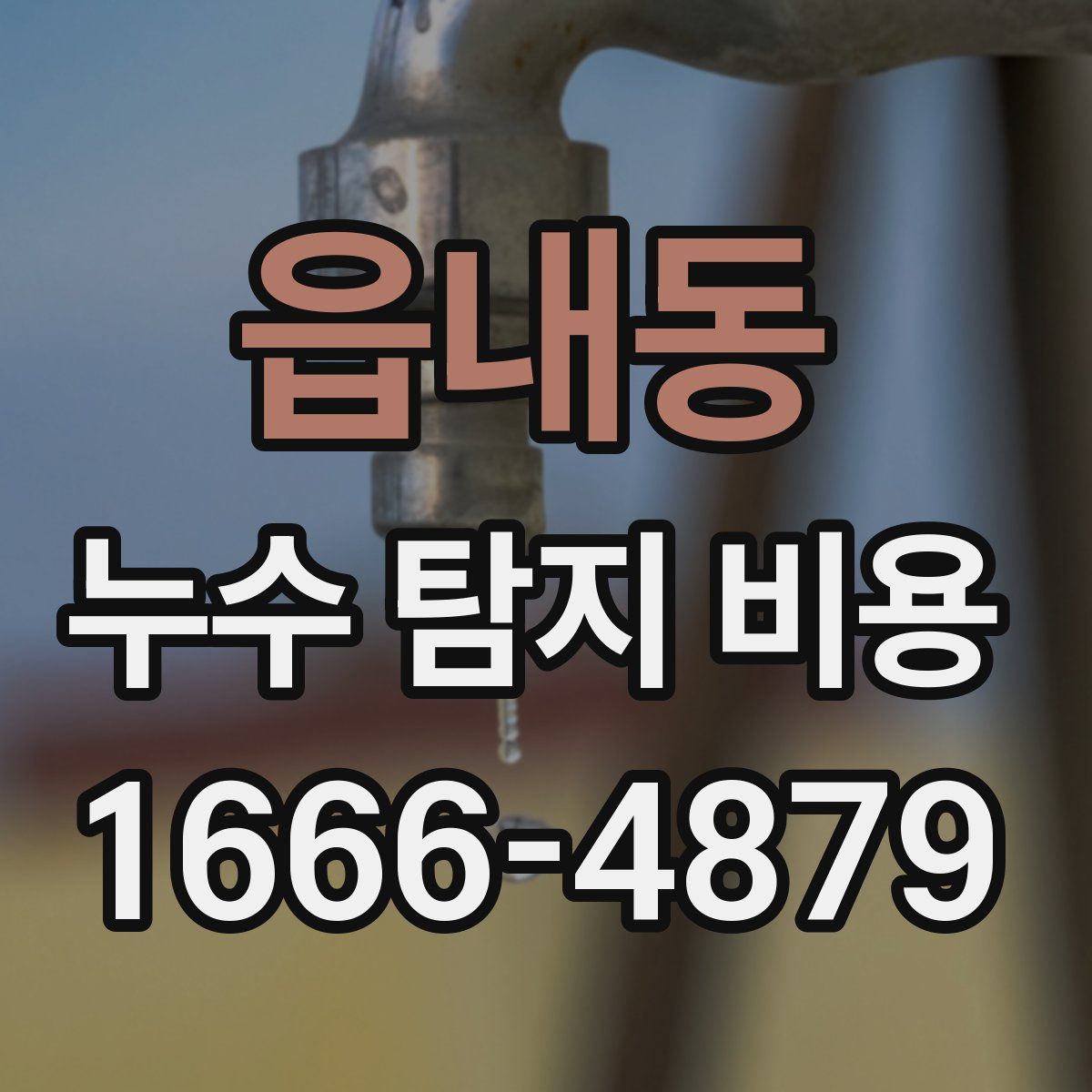 읍내동 누수 탐지 비용