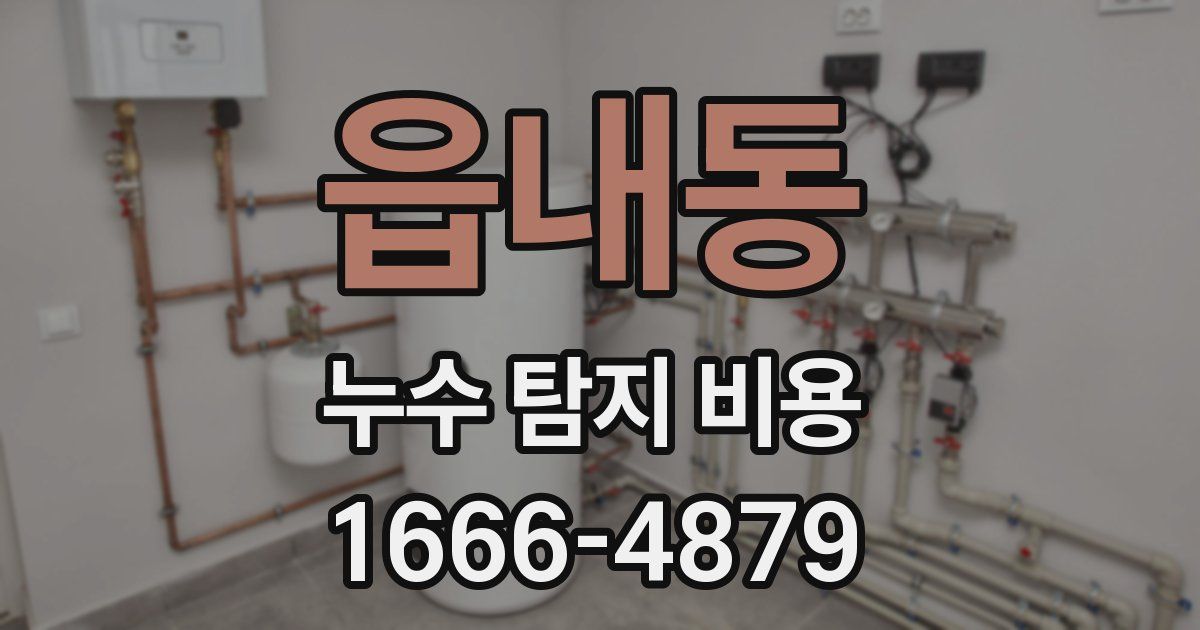 읍내동 누수 탐지 비용