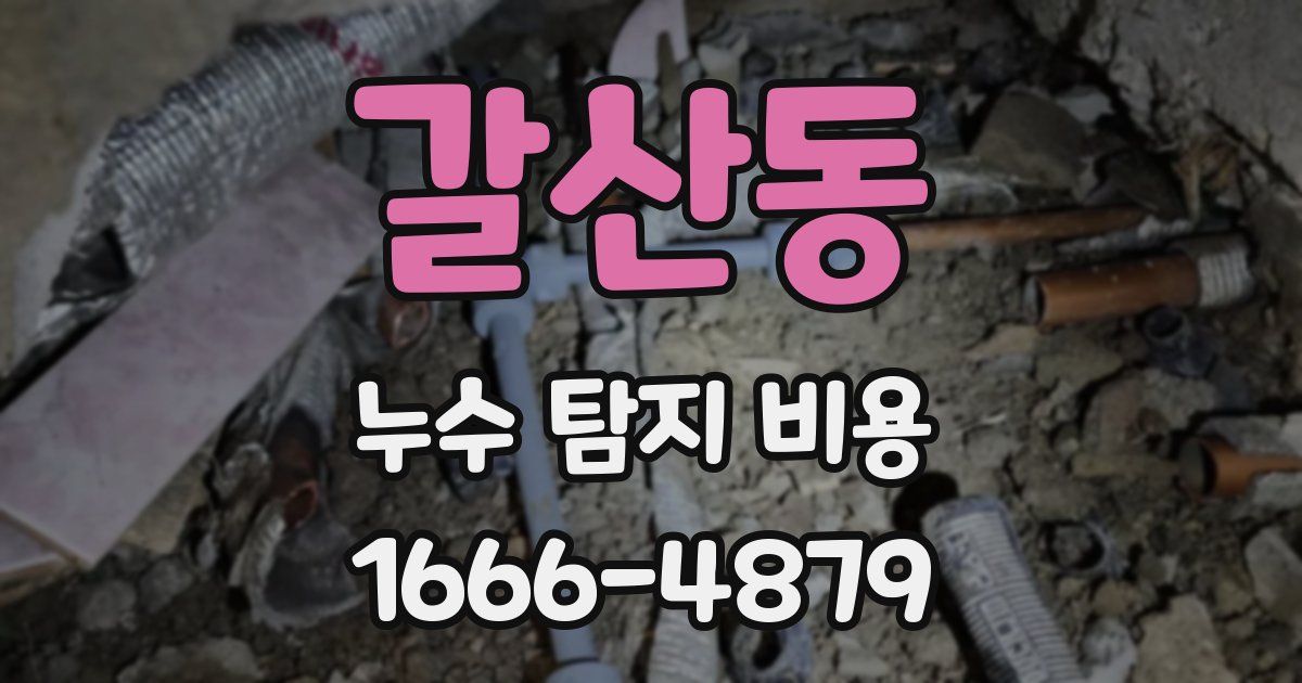 갈산동 누수 탐지 비용