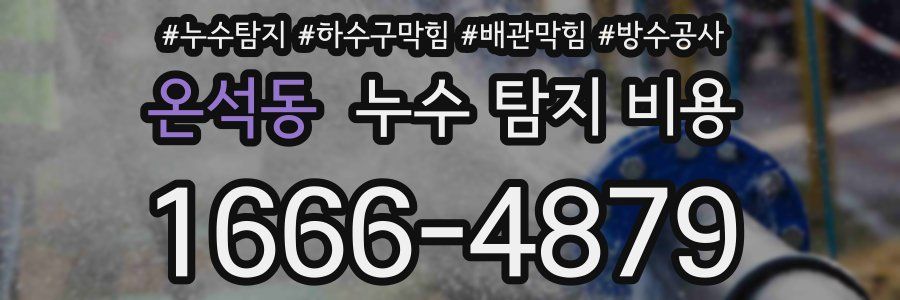 온석동 누수 탐지 비용