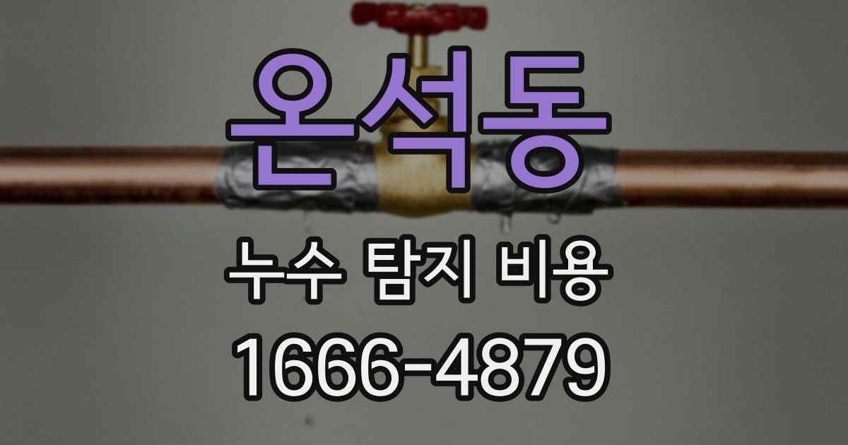온석동 누수 탐지 비용