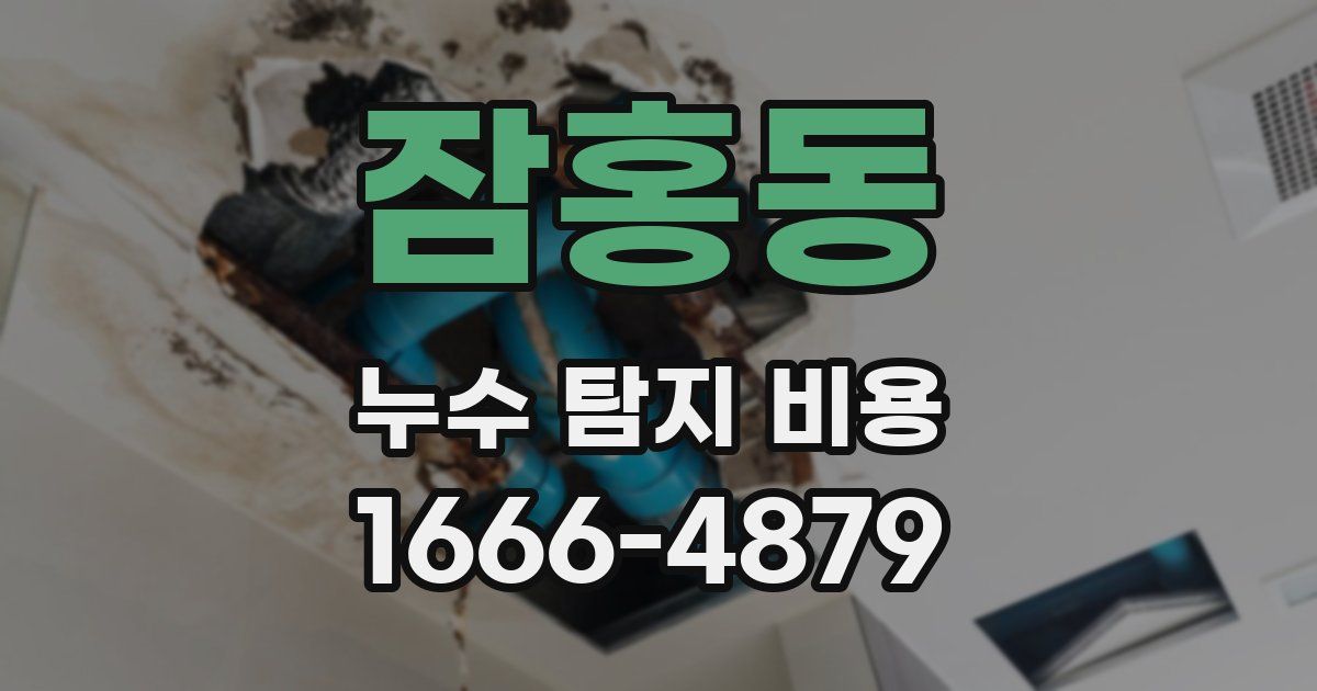 잠홍동 누수 탐지 비용