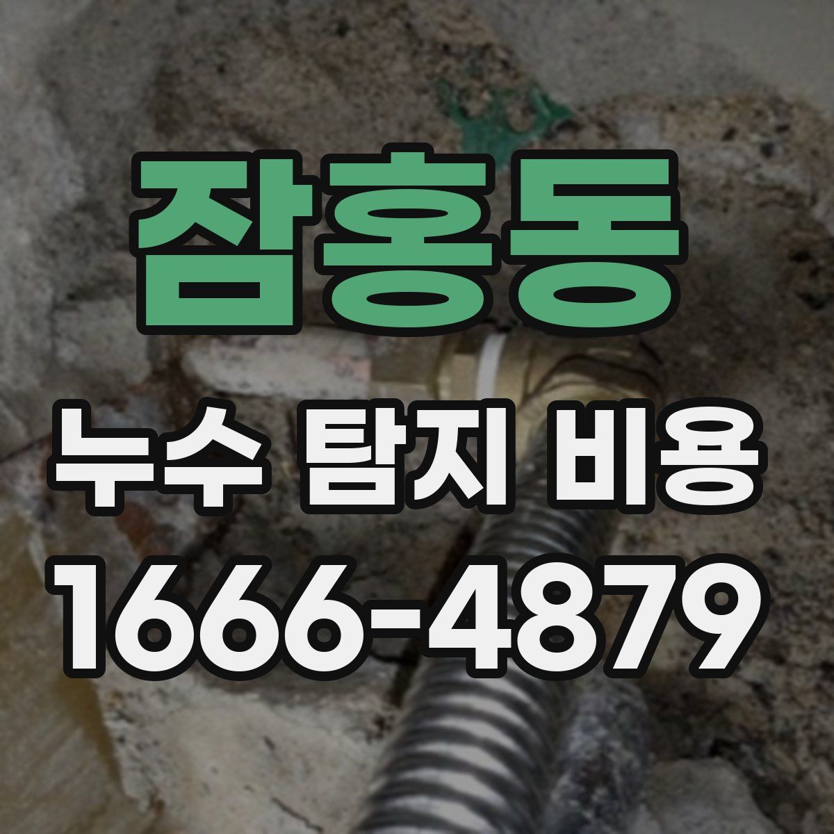 잠홍동 누수 탐지 비용