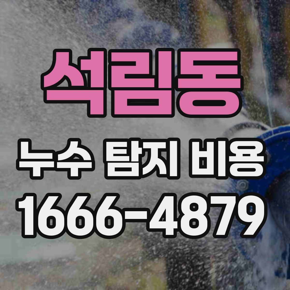 석림동 누수 탐지 비용